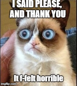 Grumpy Cat Shocked | I SAID PLEASE, AND THANK YOU; It f-felt horrible | image tagged in grumpy cat shocked | made w/ Imgflip meme maker