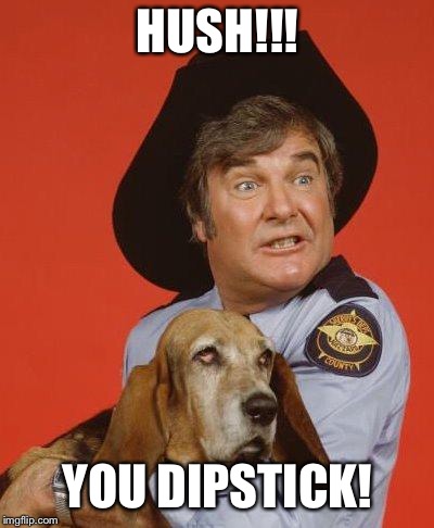 Sheriff Roscoe | HUSH!!! YOU DIPSTICK! | image tagged in sheriff roscoe | made w/ Imgflip meme maker
