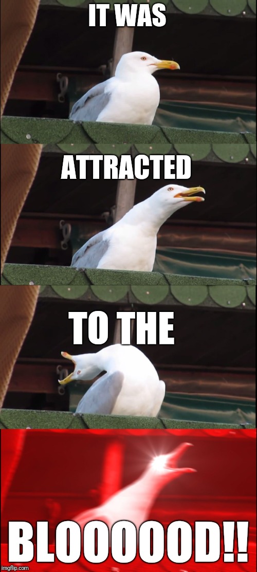 Inhaling Seagull Meme | IT WAS ATTRACTED TO THE BLOOOOOD!! | image tagged in memes,inhaling seagull | made w/ Imgflip meme maker