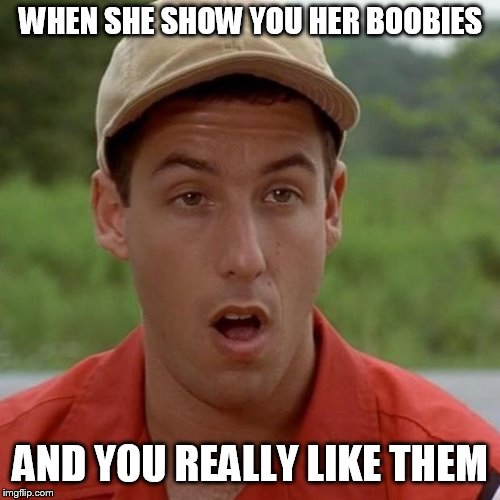Adam Sandler mouth dropped | WHEN SHE SHOW YOU HER BOOBIES; AND YOU REALLY LIKE THEM | image tagged in adam sandler mouth dropped | made w/ Imgflip meme maker
