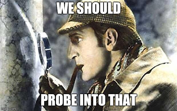 sherlock investigates | WE SHOULD PROBE INTO THAT | image tagged in sherlock investigates | made w/ Imgflip meme maker