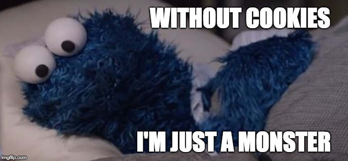 Cookie Monster's Self Reflection | WITHOUT COOKIES; I'M JUST A MONSTER | image tagged in cookie,monster | made w/ Imgflip meme maker