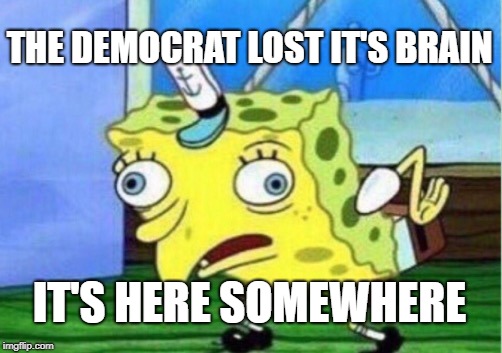 Mocking Spongebob | THE DEMOCRAT LOST IT'S BRAIN; IT'S HERE SOMEWHERE | image tagged in memes,mocking spongebob | made w/ Imgflip meme maker