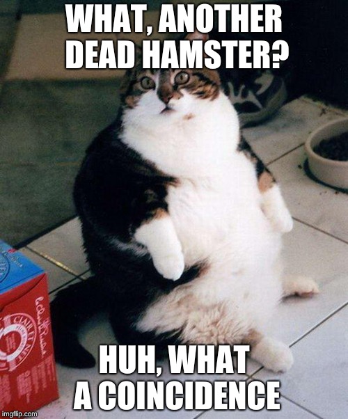 fat cat | WHAT, ANOTHER DEAD HAMSTER? HUH, WHAT A COINCIDENCE | image tagged in fat cat | made w/ Imgflip meme maker