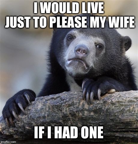 Confession Bear Meme | I WOULD LIVE JUST TO PLEASE MY WIFE; IF I HAD ONE | image tagged in memes,confession bear | made w/ Imgflip meme maker