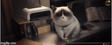 Your little thing sucks and it's trash. | image tagged in gifs,cats | made w/ Imgflip video-to-gif maker