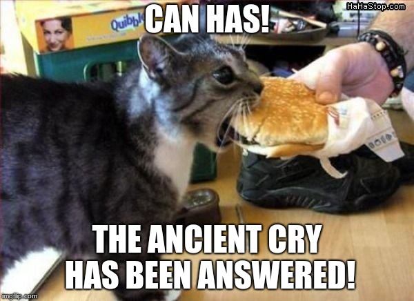 CAN HAS! THE ANCIENT CRY HAS BEEN ANSWERED! | image tagged in funny,memes,i can has cheezburger cat | made w/ Imgflip meme maker