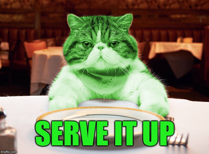 RayCat Hungry | SERVE IT UP | image tagged in raycat hungry | made w/ Imgflip meme maker