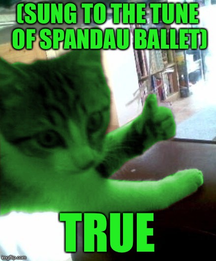 thumbs up RayCat | (SUNG TO THE TUNE OF SPANDAU BALLET) TRUE | image tagged in thumbs up raycat | made w/ Imgflip meme maker