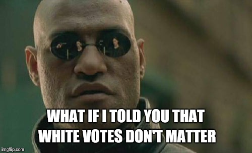 Matrix Morpheus Meme | WHAT IF I TOLD YOU THAT WHITE VOTES DON'T MATTER | image tagged in memes,matrix morpheus | made w/ Imgflip meme maker