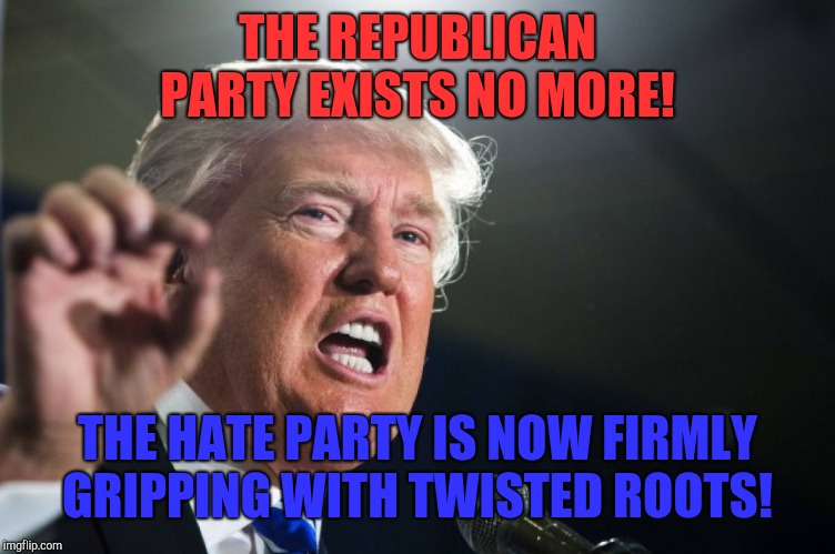 The party of hate!  | THE REPUBLICAN PARTY EXISTS NO MORE! THE HATE PARTY IS NOW FIRMLY GRIPPING WITH TWISTED ROOTS! | image tagged in donald trump,white supremacy,kkk,neo-nazis,nazis,hitler | made w/ Imgflip meme maker