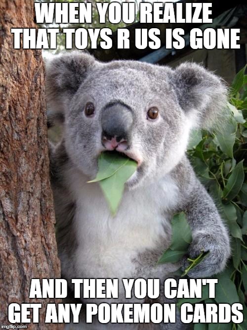 Surprised Koala Meme | WHEN YOU REALIZE THAT TOYS R US IS GONE; AND THEN YOU CAN'T GET ANY POKEMON CARDS | image tagged in memes,surprised koala | made w/ Imgflip meme maker