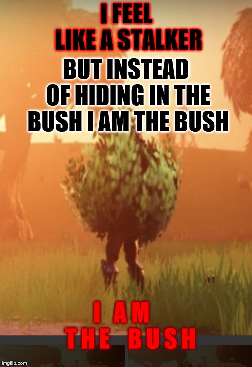 Fortnite bush | BUT INSTEAD OF HIDING IN THE BUSH I AM THE BUSH; I FEEL LIKE A STALKER; I   A M    T H E    B U S H | image tagged in fortnite bush | made w/ Imgflip meme maker