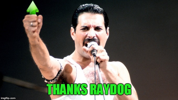 THANKS RAYDOG | made w/ Imgflip meme maker