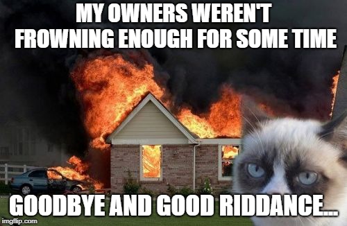 Burn Kitty Meme | MY OWNERS WEREN'T FROWNING ENOUGH FOR SOME TIME; GOODBYE AND GOOD RIDDANCE... | image tagged in memes,burn kitty,grumpy cat | made w/ Imgflip meme maker