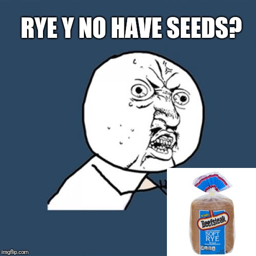 For The Theme Month | RYE Y NO HAVE SEEDS? | image tagged in memes,y u no,y u no guy,bread,theme week | made w/ Imgflip meme maker