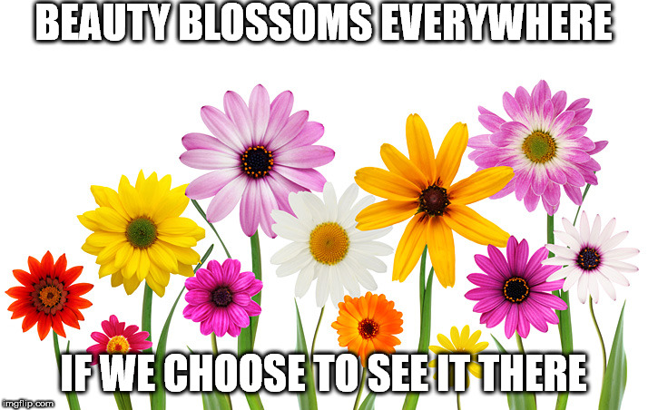 Spring Flowers | BEAUTY BLOSSOMS EVERYWHERE; IF WE CHOOSE TO SEE IT THERE | image tagged in spring flowers | made w/ Imgflip meme maker