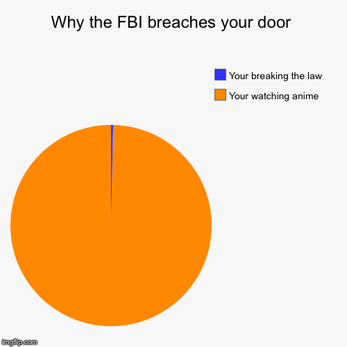 Why the FBI breaches your door | Your watching anime , Your breaking the law | image tagged in funny,pie charts | made w/ Imgflip chart maker