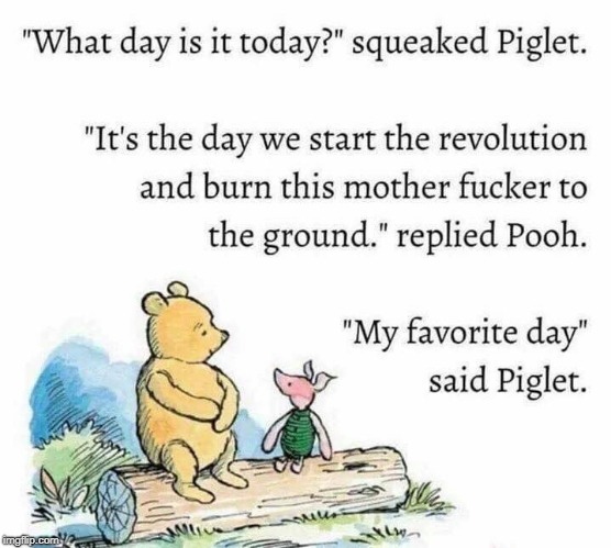 Pooh | image tagged in revolution starts today | made w/ Imgflip meme maker