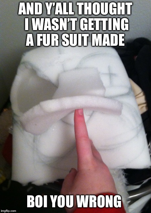 AND Y’ALL THOUGHT I WASN’T GETTING A FUR SUIT MADE; BOI YOU WRONG | image tagged in furry | made w/ Imgflip meme maker