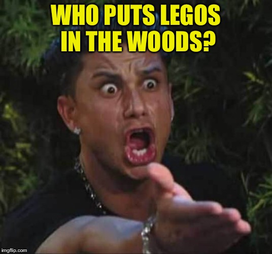 Jersey shore  | WHO PUTS LEGOS IN THE WOODS? | image tagged in jersey shore | made w/ Imgflip meme maker