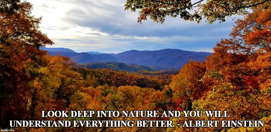 Nature | LOOK DEEP INTO NATURE AND YOU WILL UNDERSTAND EVERYTHING BETTER. - ALBERT EINSTEIN | image tagged in hiking | made w/ Imgflip meme maker