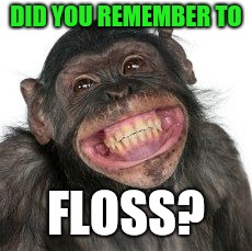 Grinning Chimp | DID YOU REMEMBER TO; FLOSS? | image tagged in grinning chimp | made w/ Imgflip meme maker