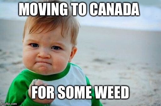 Yes Baby | MOVING TO CANADA; FOR SOME WEED | image tagged in yes baby | made w/ Imgflip meme maker