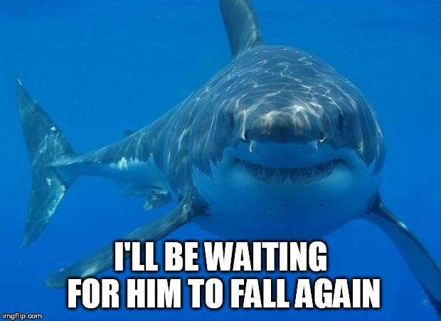 Straight White Shark | I'LL BE WAITING FOR HIM TO FALL AGAIN | image tagged in straight white shark | made w/ Imgflip meme maker