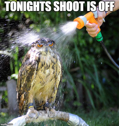 shoot is off |  TONIGHTS SHOOT IS OFF | image tagged in owl wet shower,raining,no photo shoot,it rained on us | made w/ Imgflip meme maker