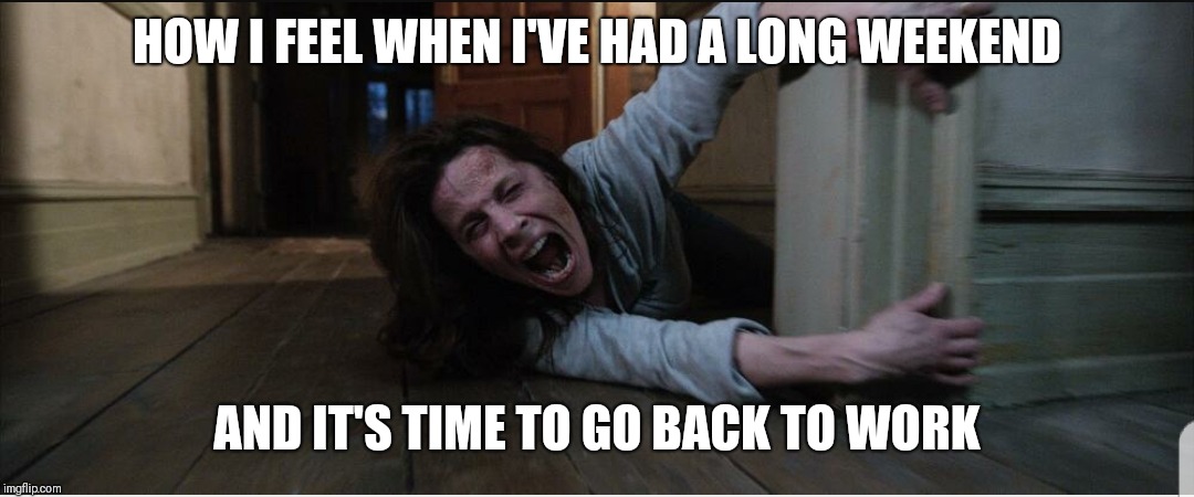 NOOOOO!!!! | HOW I FEEL WHEN I'VE HAD A LONG WEEKEND; AND IT'S TIME TO GO BACK TO WORK | image tagged in memes,funny memes,job,work | made w/ Imgflip meme maker
