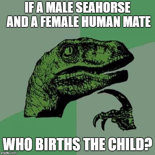 Philosoraptor Meme | IF A MALE SEAHORSE AND A FEMALE HUMAN MATE; WHO BIRTHS THE CHILD? | image tagged in memes,philosoraptor | made w/ Imgflip meme maker