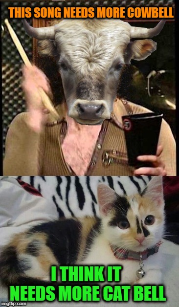 More Cat Bell | THIS SONG NEEDS MORE COWBELL; I THINK IT NEEDS MORE CAT BELL | image tagged in funny memes,cat,cowbell,cow,kitten,more cowbell | made w/ Imgflip meme maker