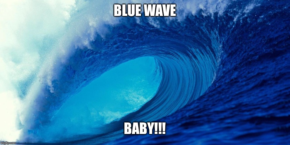 BLUE WAVE; BABY!!! | image tagged in democrats | made w/ Imgflip meme maker