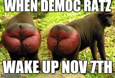 Big Red Spanked Liberal Ass | WHEN DEMOC RATZ; WAKE UP NOV 7TH | image tagged in politics,liberals | made w/ Imgflip meme maker