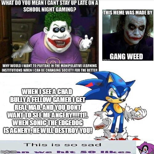 Gamers rise up! | WHEN I SEE A CHAD BULLY A FELLOW GAMER I GET REAL MAD, AND YOU DONT WANT TO SEE ME ANGERY!!!!11!. WHEN SONIC THE EDGEDOG IS AGNERY, HE WILL DESTROY YOU! | image tagged in gamers | made w/ Imgflip meme maker