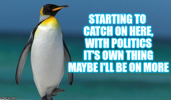 Penguin Clear Blue Water | STARTING TO CATCH ON HERE, WITH POLITICS IT'S OWN THING MAYBE I'LL BE ON MORE | image tagged in penguin clear blue water | made w/ Imgflip meme maker