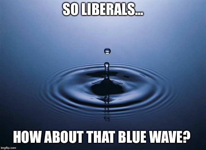 SO LIBERALS... HOW ABOUT THAT BLUE WAVE? | image tagged in water drip | made w/ Imgflip meme maker