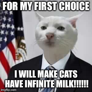 GovernmentBeuraCat | FOR MY FIRST CHOICE; I WILL MAKE CATS HAVE INFINITE MILK!!!!!! | image tagged in governmentbeuracat | made w/ Imgflip meme maker