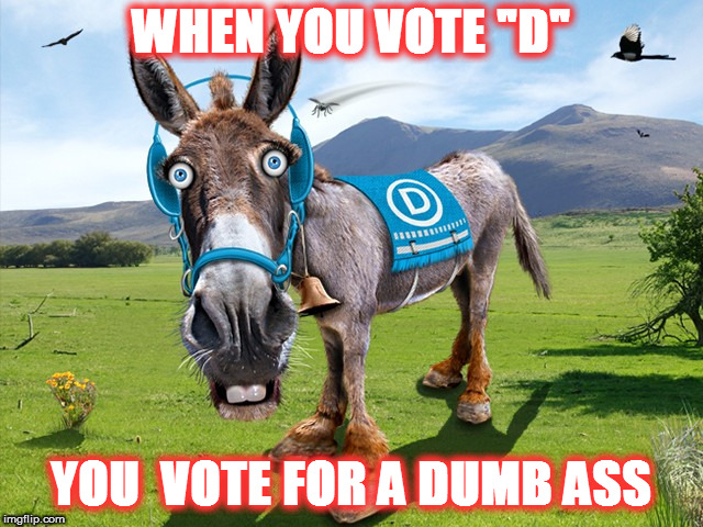 Democratic Truth | WHEN YOU VOTE "D"; YOU  VOTE FOR A DUMB ASS | image tagged in political meme | made w/ Imgflip meme maker