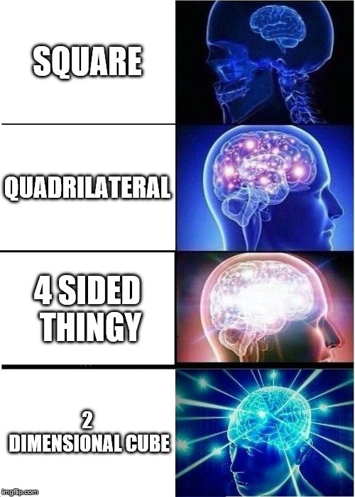 Expanding Brain | SQUARE; QUADRILATERAL; 4 SIDED THINGY; 2 DIMENSIONAL CUBE | image tagged in memes,expanding brain | made w/ Imgflip meme maker