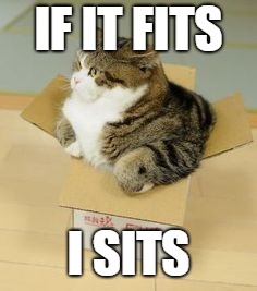 Fat Cat | IF IT FITS; I SITS | image tagged in cat,fat cat,box,cat in a box | made w/ Imgflip meme maker