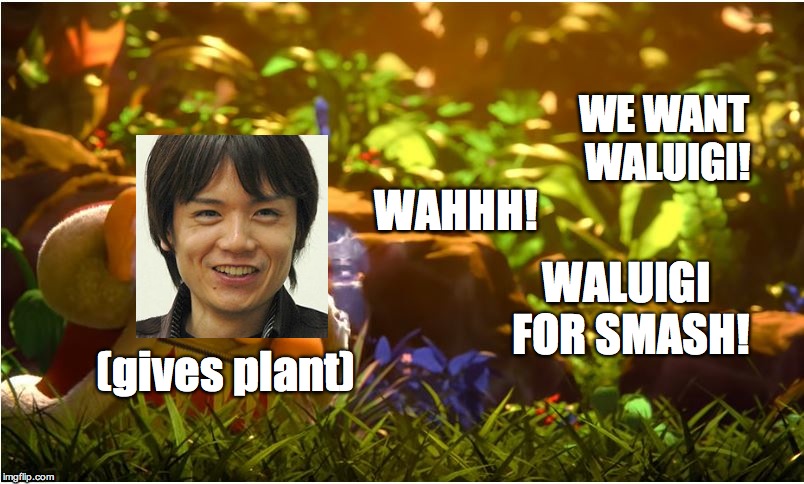 King Dedede | WE WANT WALUIGI! WAHHH! WALUIGI FOR SMASH! (gives plant) | image tagged in king dedede | made w/ Imgflip meme maker