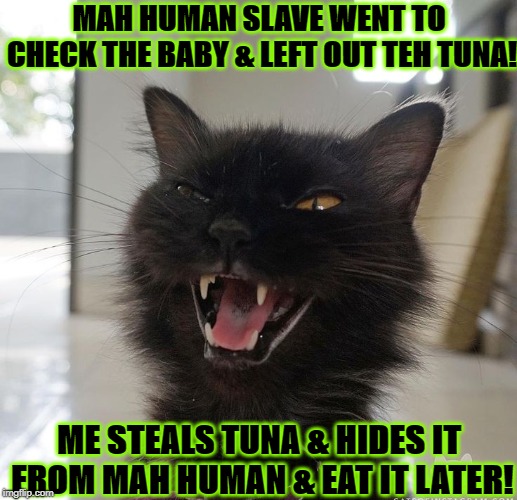 MAH HUMAN SLAVE WENT TO CHECK THE BABY & LEFT OUT TEH TUNA! ME STEALS TUNA & HIDES IT FROM MAH HUMAN & EAT IT LATER! | image tagged in thief cat | made w/ Imgflip meme maker