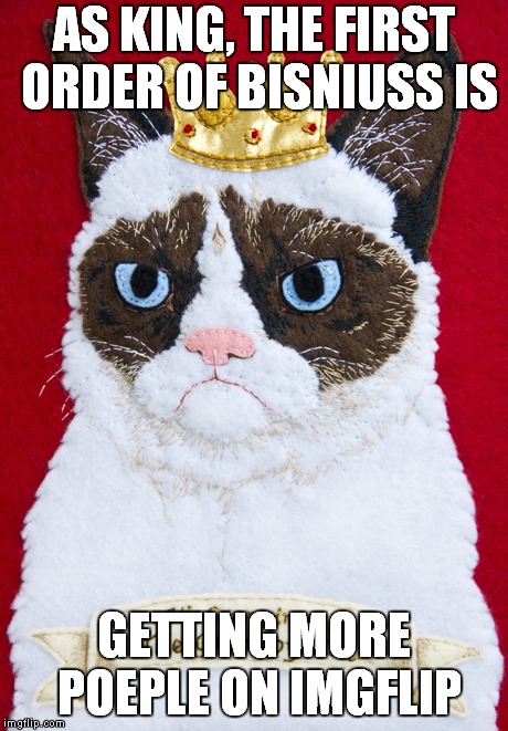GrumpyCatInCrown | AS KING, THE FIRST ORDER OF BISNIUSS IS; GETTING MORE POEPLE ON IMGFLIP | image tagged in grumpycatincrown | made w/ Imgflip meme maker