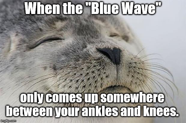 Satisfied Seal | When the "Blue Wave"; only comes up somewhere between your ankles and knees. | image tagged in memes,satisfied seal | made w/ Imgflip meme maker