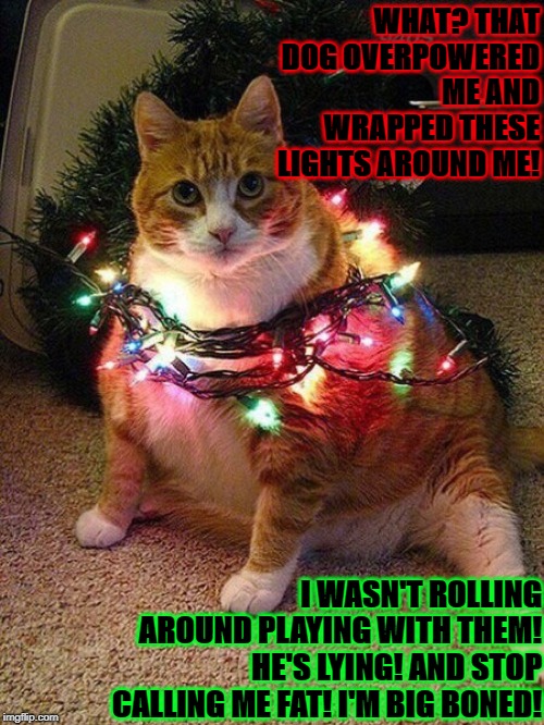 WHAT? THAT DOG OVERPOWERED ME AND WRAPPED THESE LIGHTS AROUND ME! I WASN'T ROLLING AROUND PLAYING WITH THEM! HE'S LYING! AND STOP CALLING ME FAT! I'M BIG BONED! | image tagged in dog did it | made w/ Imgflip meme maker