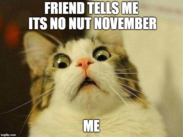 Scared Cat | FRIEND TELLS ME ITS NO NUT NOVEMBER; ME | image tagged in memes,scared cat | made w/ Imgflip meme maker