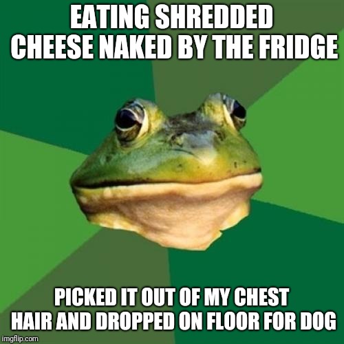 Foul Bachelor Frog Meme | EATING SHREDDED CHEESE NAKED BY THE FRIDGE; PICKED IT OUT OF MY CHEST HAIR AND DROPPED ON FLOOR FOR DOG | image tagged in memes,foul bachelor frog | made w/ Imgflip meme maker