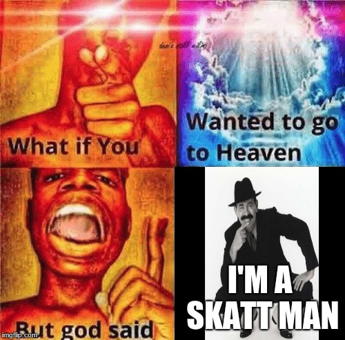 I'M A SKATT MAN | image tagged in memes | made w/ Imgflip meme maker